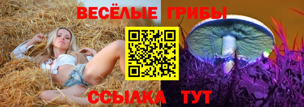 Владикавказ  Псилоцибиновые грибы Psilocybe  Вход с VPN 